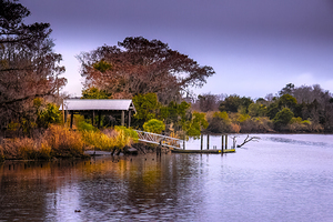 Georgia Altamaha River Butler Island  Plantation