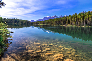 Jeweled Turquoise Reflections on the Way to Jasper National Park