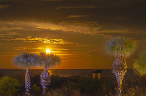 Port Royal Beach Sunrise