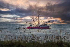 Hilton Head Shrimper Sunrise
