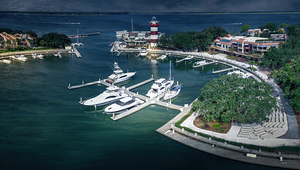 Under the Live  Oak Tree