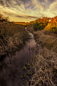 Huntington Beach Wetlands