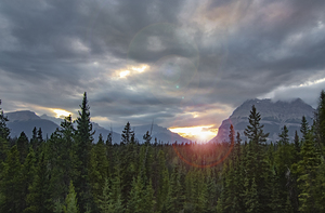 Over the Trees Sunflare  off the Icefields Parkway