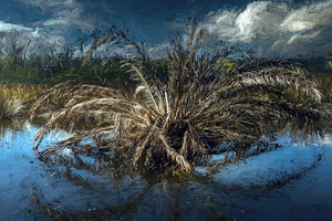 Palm Tree  Painterly