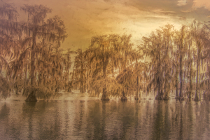 Lake Martin the Vale of Gold