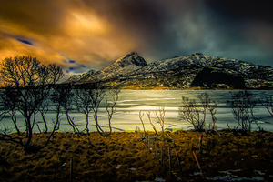 Lofoten Islands Northern Lights
