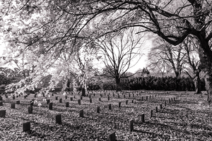 lynchburg old city cemetery BWpink