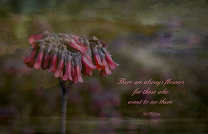 Matisse Flowers Inspiration