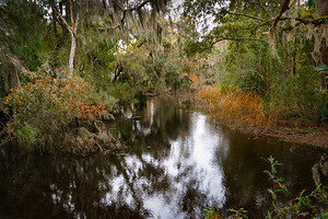 Mcclellanville South Carolina  Lagoon
