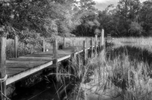 McClellanville Old Dock in Black and White