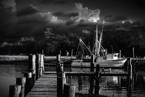 Mcclellanville Regulus Shrimper  in Black and White