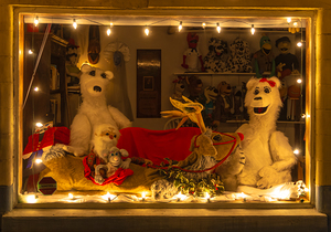 McClellanville Window at Christmas