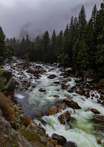 Raging Merced River