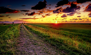 Mont Saint Michel Farm Field at Sunset