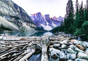 Moraine Lake Log Jam