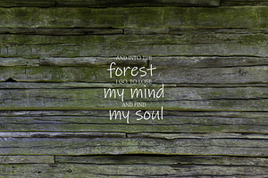 Into the Woods Muir Quote