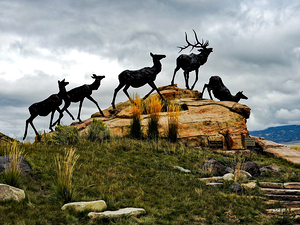 National Museum of Wildlife Art