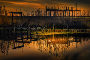 New Orleans Marsh at Sunset