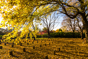 Lynchburg Old City Cemetery in Autumn