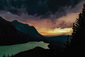 Banff Wolf Lake Sunset  Silhouette