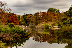 Port Royal South Carolina Cypress Wetlands