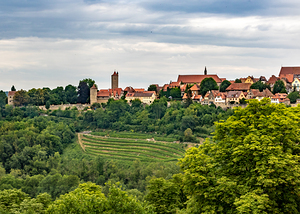 Rothenburg Vineyard Landscape
