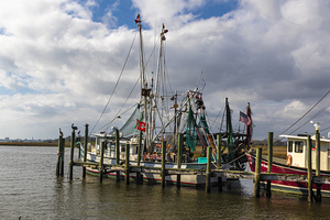 Mount Pleasant Shem Creek Shrimper