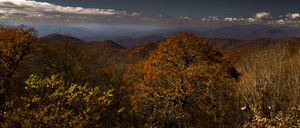 Smoky Mountain Overlook in Autumn