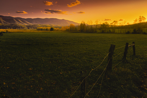 Cades Cove Fence Line in Autumn Sunset