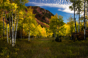 Snowmass Aspen Splendor in Autumn