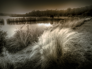 Glow of Winter on the Marshlands
