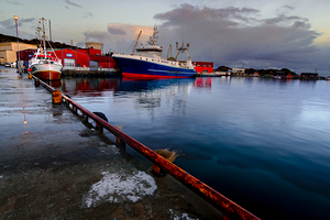 Lofoten Norway Stamsund Fishing Fleet