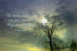 Tree and Moon Silence Silhouette 