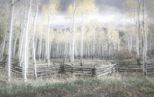 Artstic Uncompahgre National Forest Horizon Aspens