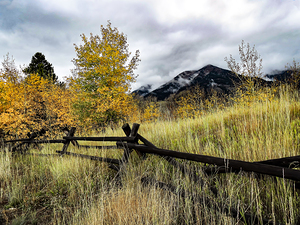 Autumn Rustic Teton Ranch Fence