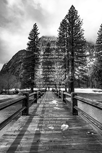 The Apology by Emerson