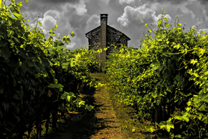 Prosecco Road Valdobbiadene Vineyard Stone Cottage