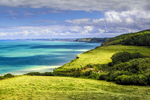 Varengeville Sur Mer Chalk Cliffs
