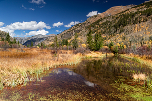 Colorado The Watering Hole