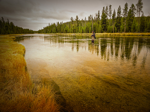 Yellowstone Fly Fishing