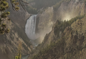 Yellowstone Lower Falls Mist at Sunset