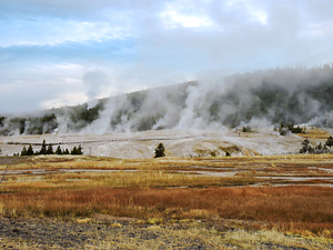 Yellowstone Misty Morning Steam