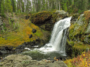 Yellowstone Moose Falls