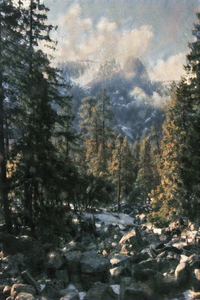 Yosemite Down Stream