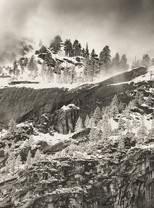 Yosemite Snow Hillside in Sepia