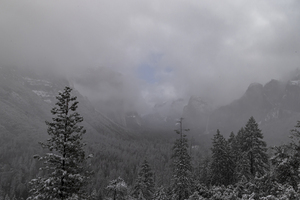 Foggy Yosemite in Winter