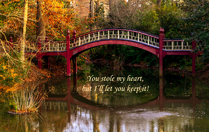 Crim Bridge You Stole My Heart