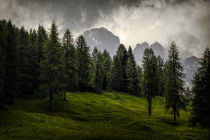 Dolomite Possa di Fassa  Mountain Forest Silhouette