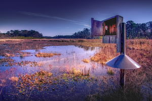 South Carolina Lowland Marsh