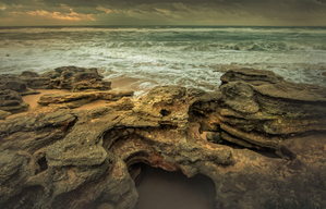 Florida Seaside Coquina Textures